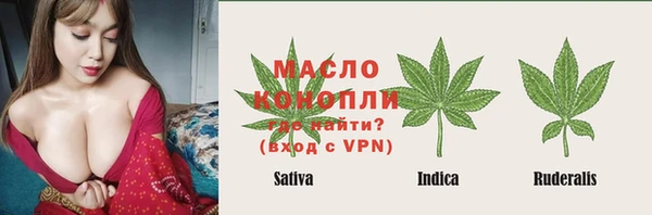 стафф Верхний Тагил