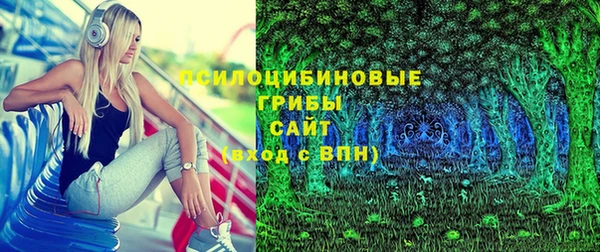 стафф Верхний Тагил